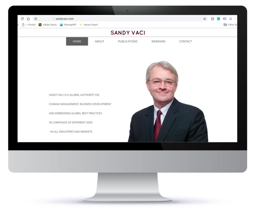 Website for Sandy Vaci, Vienna and Budapest-based Business Consultant and Thought Leader